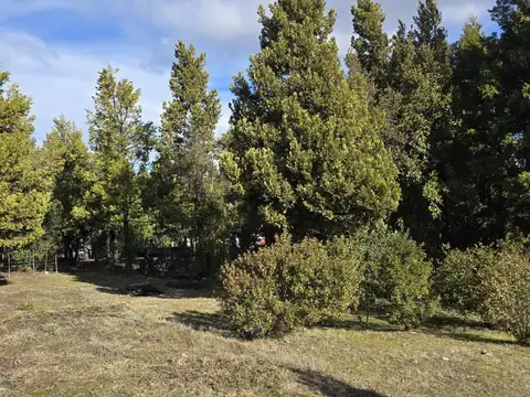 Casa en Alquiler de 4 dormitorios