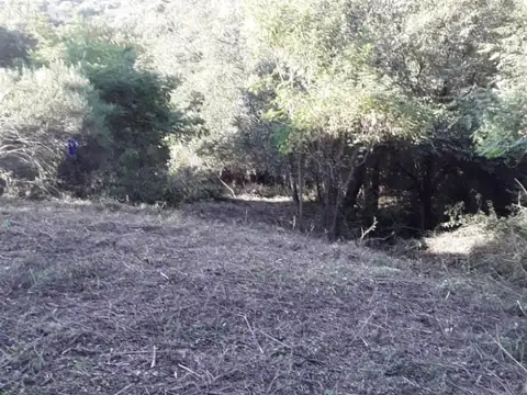 Terreno en Venta 1.400  mts Fondo