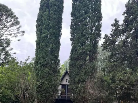 Terreno en Venta 10  mts Frente