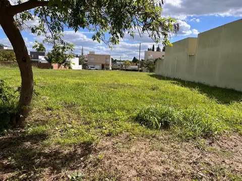 La Pampa 600