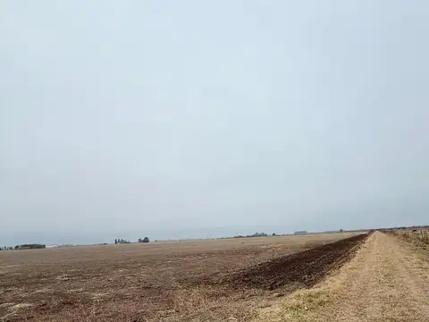 Campo SOLDINI RUTA 14