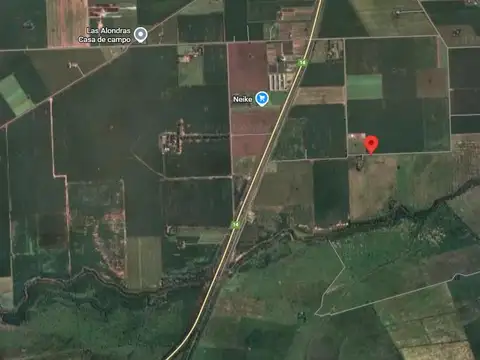 SOLDINI RUTA 14