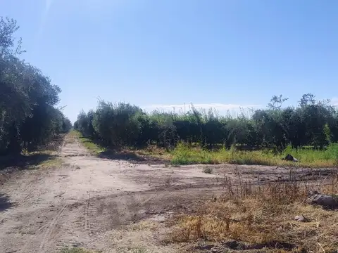 REMAX VENDE HERMOSA FINCA EN COQUIMBITO MAIPU