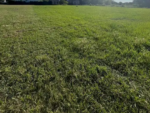 Terreno en Venta de 1006,0 m2