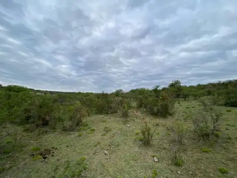 Terreno en Venta de 800,0 m2