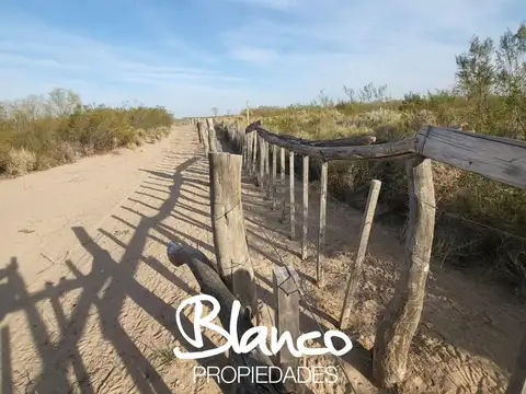 Campo  en Venta en 25 De Mayo, Puelen, La Pampa