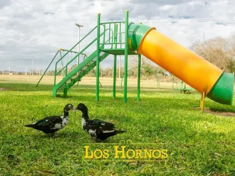 Terreno en Venta 40  mts Fondo
