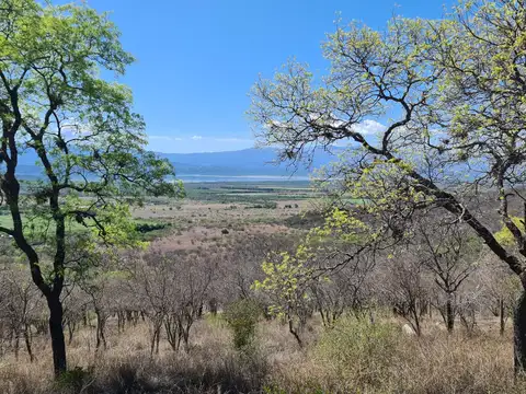 Terreno en Venta de 900,0 m2