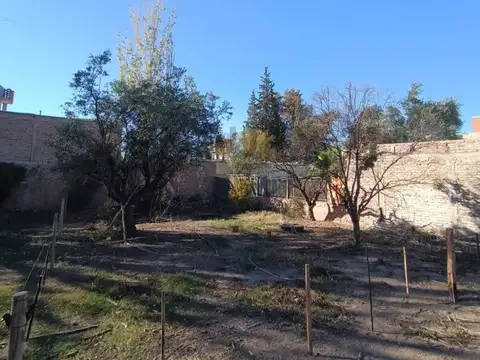 José Maria Videla 1200, Piso 0