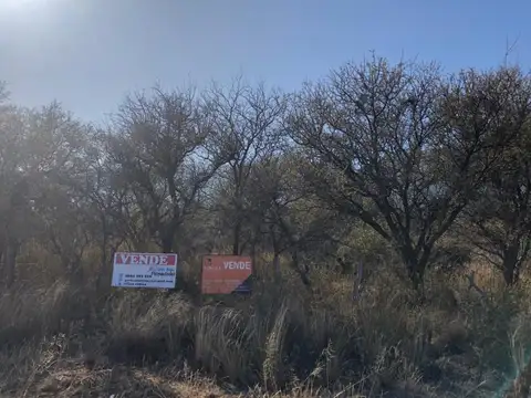 Terreno en Venta, FOT 40