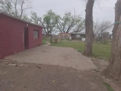 Campo en Alquiler Chacra