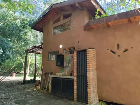 Sábalos 100