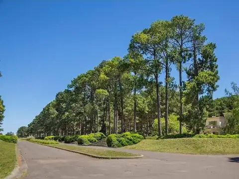 Terreno en Venta de 1618,0 m2