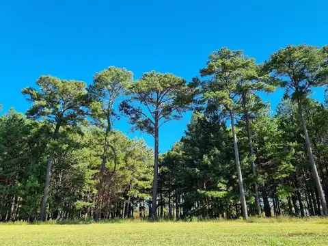 Terreno Pinares Country Club