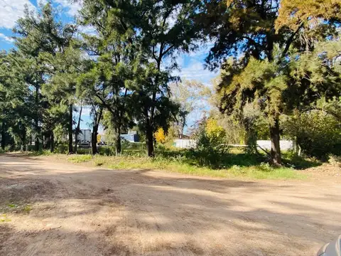 Camino de Cintura 4200