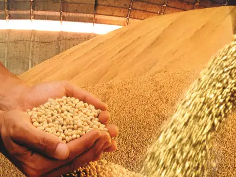 Excelente campo mixto. agrícolo.ganadero