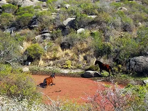 Ojo De Agua