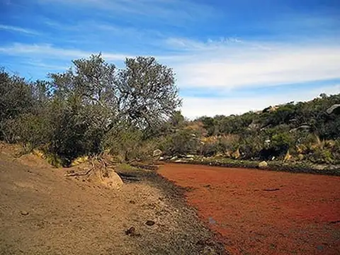 Ojo De Agua