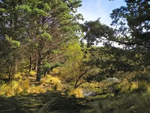 Ojo De Agua