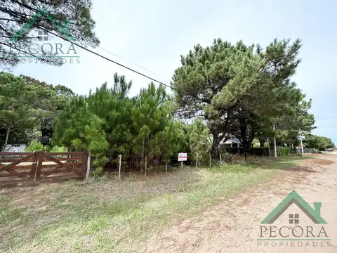 Terreno en Venta en Nueva Atlantis, USD 30.000