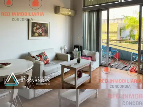 DEPARTAMENTO ZONA CENTRO CONCORDIA