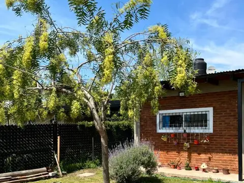 Nahuel Huapi entre Lago Lacar y Fontana , Piso 0