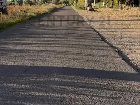 LOTEO EL TOLEDANO SAN RAFAEL MENDOZA