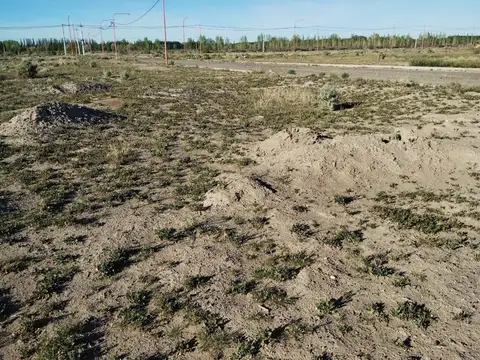 Terreno en Venta en Chichinales, USD 11.000