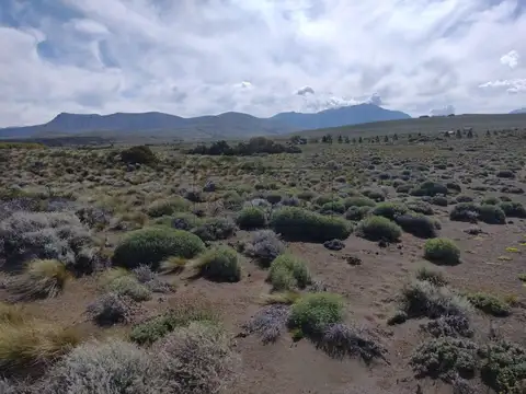 Terreno en Venta de 4435,0 m2