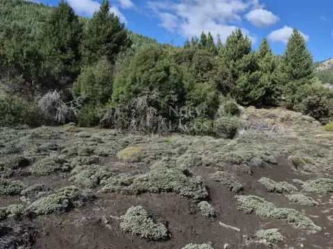 Venta de lote amplio sobre ruta 63 en Vila Lago Meliquina