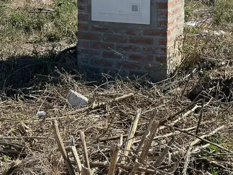 Cuba 5500