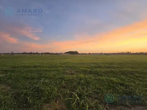 Terreno en Venta 40  mts Fondo