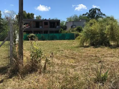 Terrenos y Lotes en Venta en Arturo Segui [Cod: 7253-358]