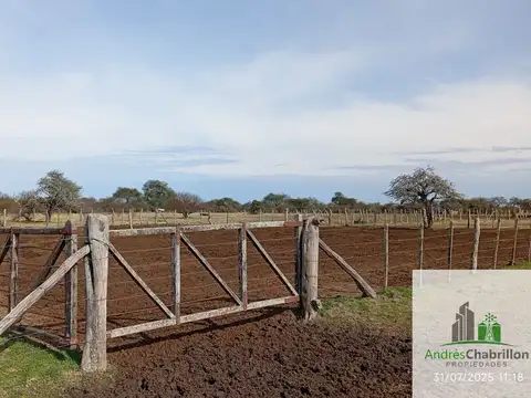 Federal Entre rios 100