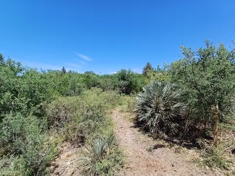 Terreno en Venta 12  mts Fondo