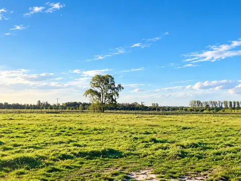 Ruta 31 - San Antonio de Areco