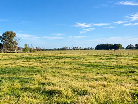 Venta Fracciones de Campo | 9 y 12,7  Hectáreas | Posibilidad de Financiación | San Antonio de Areco
