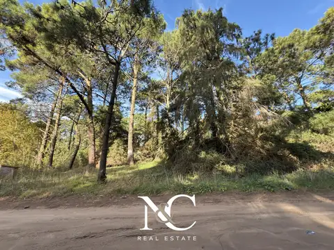 Calle Jilguero y Palmera, Cariló