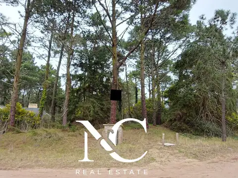 Terreno en Venta en Carilo, USD 120.000