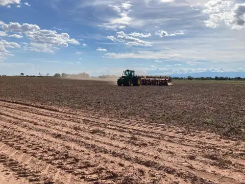 Campo en venta - 719 Hectáreas - Salta