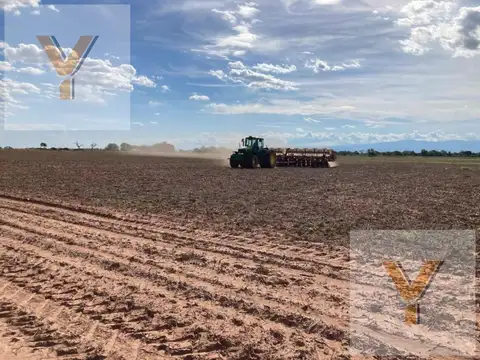 Campo en venta - 719 Hectáreas - Salta