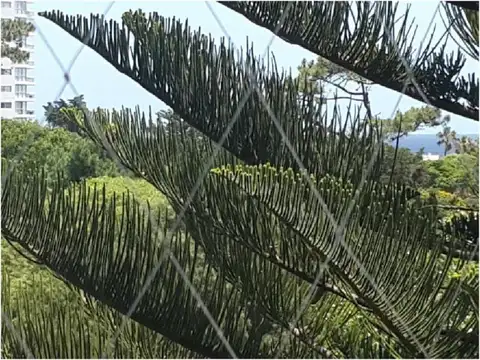 Departamento en Venta al Sureste