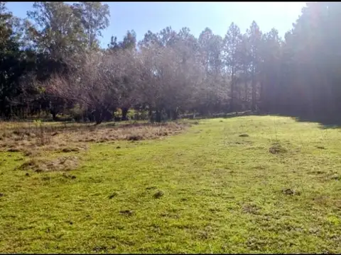 Ruta Provincial 1 KM 19