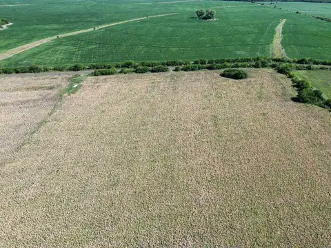 Vendo Campo 22 Has en Colonia Los Ceibos Entre Ríos