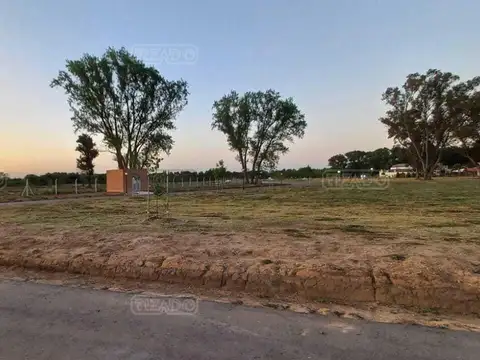 Terreno en Venta de 1135,0 m2