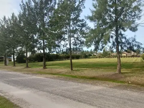 Ruta Provincial 2 100