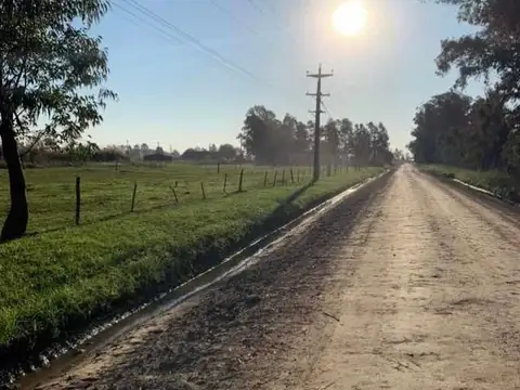 Terreno en Venta de 817,0 m2