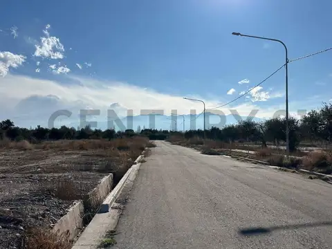 LOTES EN VENTA - POSTAL DEL PLATA