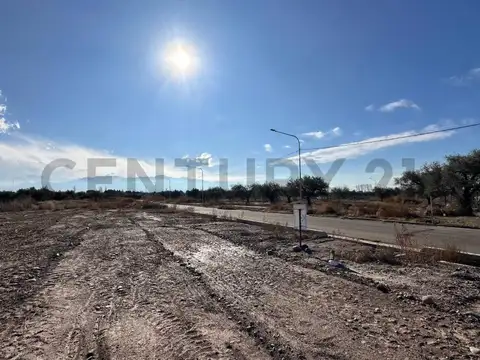 los lagardes , Piso 0