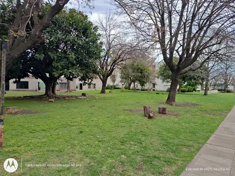 Fondo de la legua 2400, Piso 8